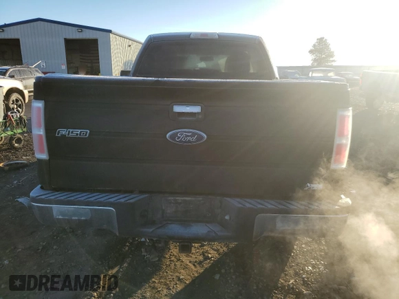 2010 Ford F-150 XL with VIN 1FTFW1EV9AFD21293, listed as a Copart auction lot 77943404 with 123,165 mi miles and Salvage title. Bid and sale history available at DreamBid. Image 6.