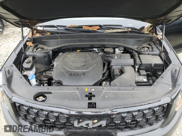 2024 Kia Telluride SX X-Line with VIN 5XYP5DGC1RG494352, listed as a Copart auction lot 58260515 with 25,538 mi miles and Salvage title. Bid and sale history available at DreamBid. Image 12.