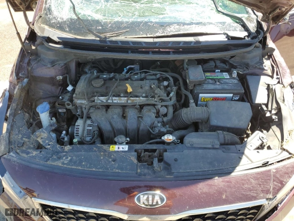 2017 Kia Forte LX with VIN 3KPFL4A78HE014204, listed as a Copart auction lot 49783694 with 213,986 mi miles and Non Repairable. Bid and sale history available at carsss.com. Image 11.