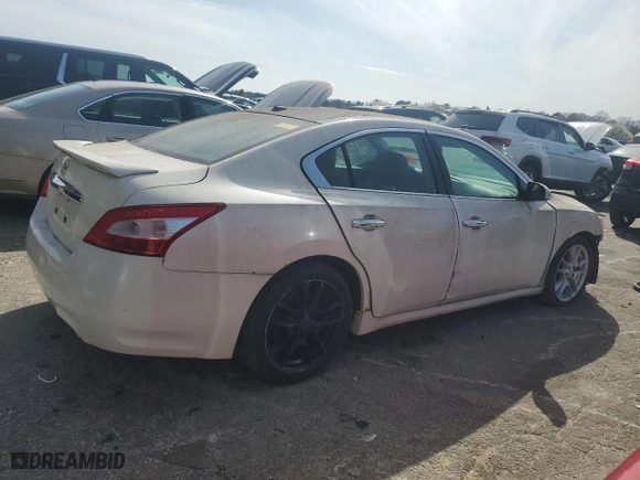 2010 Nissan Maxima 3.5 SV w/Premium Pkg with VIN 1N4AA5AP5AC842350, listed as a Copart auction lot 48255385 with 164,130 mi miles and Clean Title. Bid and sale history available at carsss.com. Image 3.