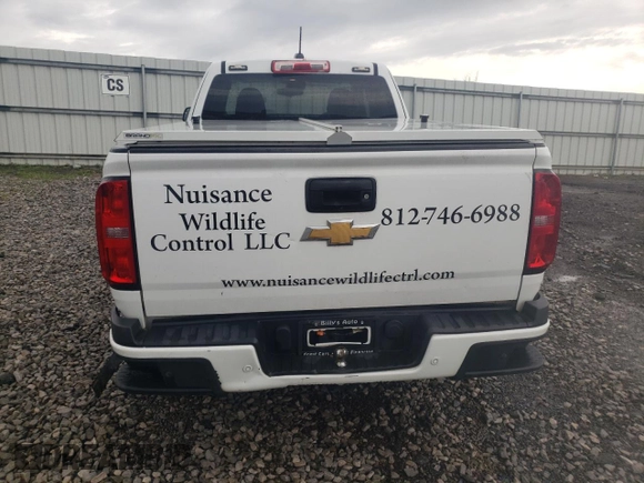 2020 Chevrolet Colorado 2WD LT with VIN 1GCHSCEA3L1156063, listed as a Copart auction lot 51670345 with 128,684 mi miles and Salvage title. Bid and sale history available at DreamBid. Image 6.
