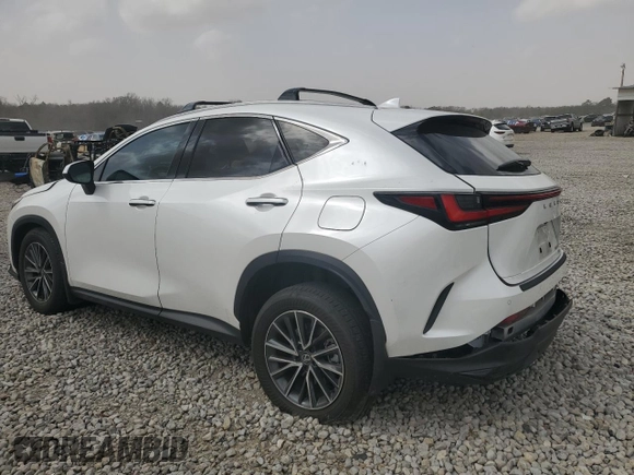 2024 Lexus NX with VIN JTJGKCEZ8R2034364, listed as a Copart auction lot 49850105 with 0 mi miles and Salvage Title. Bid and sale history available at carsss.com. Image 3.