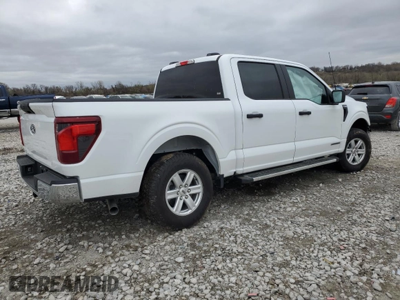 2024 Ford F-150 with VIN 1FTFW1FD4RFB40135, listed as a Copart auction lot 51074655 with Not provided miles and Salvage title. Bid and sale history available at DreamBid. Image 3.