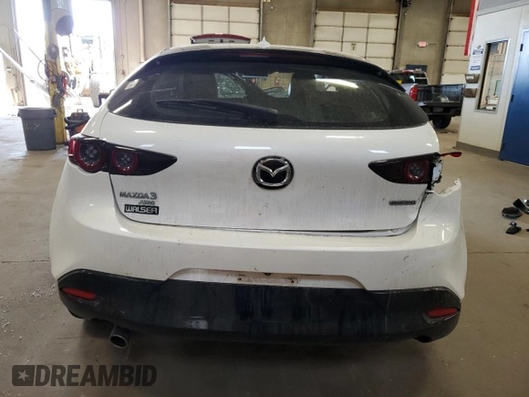 2019 Mazda 3 Preferred with VIN JM1BPBMM1K1123736, listed as a Copart auction lot 53273035 with Not Provided miles and Non Repairable. Bid and sale history available at DreamBid. Image 6.