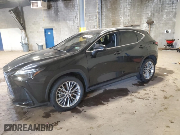 2024 Lexus NX 350 Luxury with VIN 2T2HGCEZ7RC034667, listed as a Copart auction lot 59150195 with 16,675 mi miles and Salvage title. Bid and sale history available at DreamBid. Image 1.