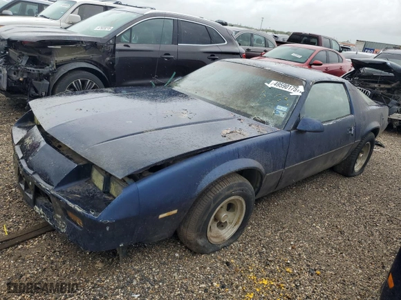 1987 Chevrolet Camaro with VIN 1G1FP21H6HN165757, listed as a Copart auction lot 49590175 with 35,793 mi miles and Clean Title. Bid and sale history available at carsss.com. Image 1.