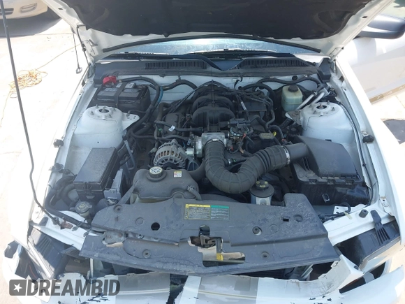 2006 Ford Mustang Standard with VIN 1ZVFT84N465107373, listed as a IAAI auction lot 42205471 with 60,598 mi miles and . Bid and sale history available at DreamBid. Image 10.