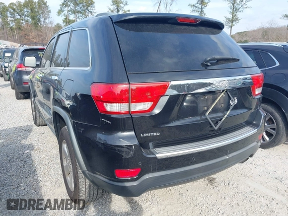 2013 Jeep Grand Cherokee Limited with VIN 1C4RJEBGXDC520609, listed as a IAAI auction lot 41493503 with 173,020 mi miles. Bid and sale history available at carsss.com. Image 3.