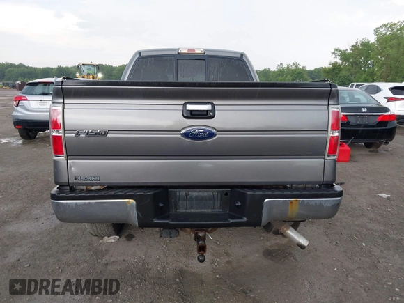 2010 Ford F-150 XL with VIN 1FTEX1E83AFD64062, listed as a IAAI auction lot 42550600 with 135,059 mi miles and . Bid and sale history available at DreamBid. Image 17.