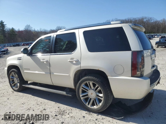 2013 Cadillac Escalade Premium with VIN 1GYS4CEF1DR253612, listed as a Copart auction lot 54435865 with 177,032 mi miles and Clean Title. Bid and sale history available at carsss.com. Image 2.