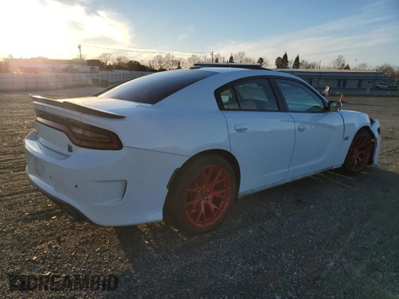 2019 Dodge Charger Scat Pack with VIN 2C3CDXGJXKH520282, listed as a Copart auction lot 87208244 with Not Provided miles and Salvage Title. Bid and sale history available at DreamBid. Image 3.