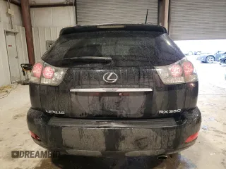 2005 Lexus RX 330 with VIN JTJGA31U250051065, listed as a Copart auction lot 45110265 with 254,094 mi miles and Salvage Title. Bid and sale history available at carsss.com. Image 6.