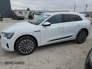 2019 Audi e-tron Prestige with VIN WA1VABGE9KB021981, listed as a Copart auction lot 50371845 with 46,624 mi miles and Salvage Title. Bid and sale history available at carsss.com. Image 1.