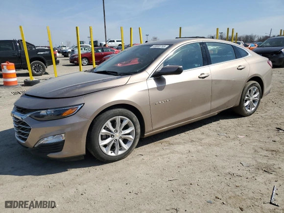 2019 Chevrolet Malibu LT with VIN 1G1ZD5ST6KF151370, listed as a Copart auction lot 48800755 with 33,191 mi miles and Salvage Title. Bid and sale history available at carsss.com. Image 1.