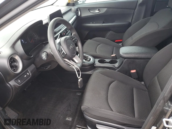 2019 Kia Forte LXS with VIN 3KPF24AD6KE076667, listed as a Copart auction lot 78985874 with Not Provided miles and Clean Title. Bid and sale history available at carsss.com. Image 7.