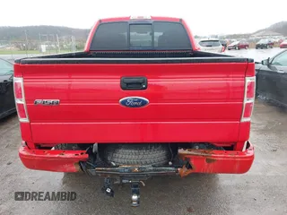 2010 Ford F-150 XL z VIN 1FTEX1EWXAFA69586, wystawiony jako IAAI lot #41947671 z przebiegiem 156 317 mil mil oraz . Historia ofert i sprzedaży dostępna na DreamBid. Obrazek 17.