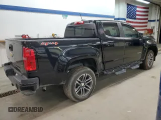 2019 Chevrolet Colorado 4WD LT with VIN 1GCGTCEN5K1186529, listed as a Copart auction lot 45798945 with 45,382 mi miles and Clean Title. Bid and sale history available at carsss.com. Image 3.