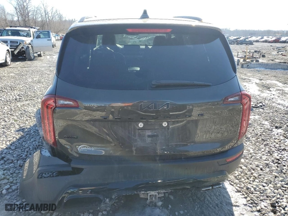 2022 Kia Telluride SX with VIN 5XYP5DHCXNG260946, listed as a Copart auction lot 42513875 with 65,641 mi miles and Salvage Title. Bid and sale history available at carsss.com. Image 6.