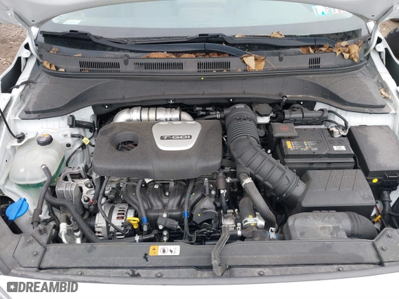 2021 Hyundai Kona Limited with VIN KM8K3CA56MU608725, listed as a IAAI auction lot 40941605 with 32,464 mi miles. Bid and sale history available at carsss.com. Image 10.