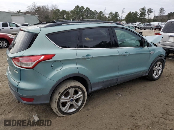 2013 Ford Escape SE with VIN 1FMCU0GX6DUA99955, listed as a Copart auction lot 89323265 with 173,268 mi miles and Salvage Title. Bid and sale history available at carsss.com. Image 3.