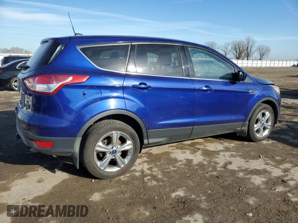 2014 Ford Escape SE with VIN 1FMCU9GX6EUD16166, listed as a Copart auction lot 83913634 with 123,624 mi miles and Salvage Title. Bid and sale history available at carsss.com. Image 3.