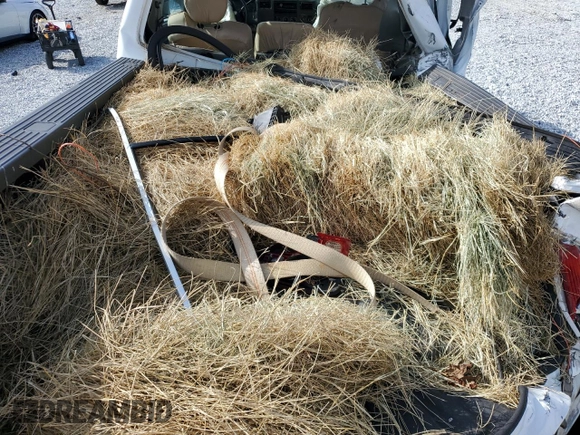 2004 Ford Super Duty F-250 XL with VIN 1FTNX21P34EC94317, listed as a Copart auction lot 69180864 with 0 mi miles and Salvage Title. Bid and sale history available at carsss.com. Image 10.