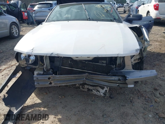 2006 Ford Mustang Standard with VIN 1ZVFT84N965243420, listed as a IAAI auction lot 41827935 with Not Provided miles and . Bid and sale history available at carsss.com. Image 6.