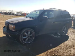 2008 Chevrolet TrailBlazer 1LT with VIN 1GNDT13S582202089, listed as a Copart auction lot 89358285 with 176,407 mi miles and Salvage Title. Bid and sale history available at DreamBid. Image 1.