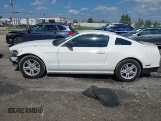 2013 Ford Mustang V6 with VIN 1ZVBP8AM5D5265880, listed as a IAAI auction lot 42617490 with 99,638 mi miles and . Bid and sale history available at DreamBid. Image 15.