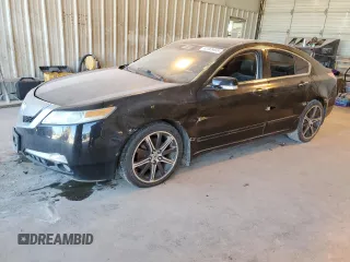 2009 Acura TL Tech with VIN 19UUA86529A004236, listed as a Copart auction lot 42265455 with 0 mi miles and Clean Title. Bid and sale history available at carsss.com. Image 1.