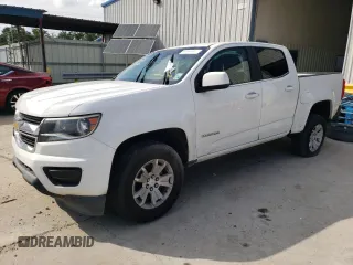 2019 Chevrolet Colorado 2WD LT with VIN 1GCGSCEN1K1110146, listed as a Copart auction lot 58223855 with Not provided miles and Salvage title. Bid and sale history available at DreamBid. Image 1.