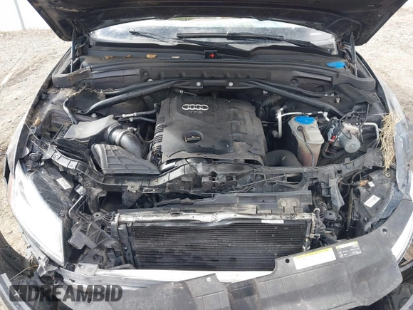 2015 Audi Q5 Premium Plus with VIN WA1LFAFP2FA050224, listed as a IAAI auction lot 41850904 with Not provided miles and . Bid and sale history available at DreamBid. Image 10.