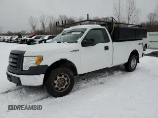 2010 Ford F-150 XL with VIN 1FTMF1EW9AKE40887, listed as a Copart auction lot 87595615 with 161,115 mi miles and Clean Title. Bid and sale history available at carsss.com. Image 1.