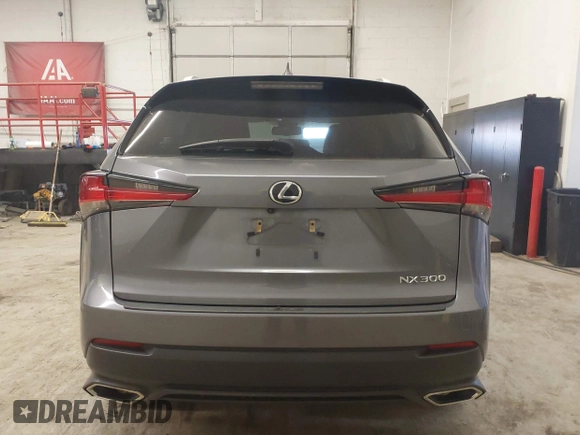 2018 Lexus NX 300 with VIN JTJYARBZ0J2098367, listed as a IAAI auction lot 41935623 with 95,345 mi miles and . Bid and sale history available at DreamBid. Image 16.