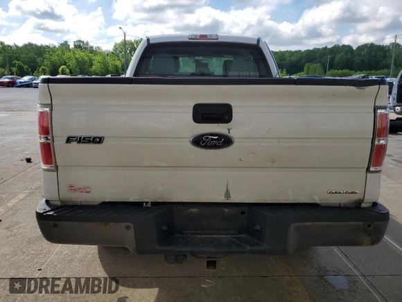 2013 Ford F-150 XL with VIN 1FTFX1EF8DKE35559, listed as a Copart auction lot 55754985 with 193,184 mi miles and Salvage title. Bid and sale history available at DreamBid. Image 6.
