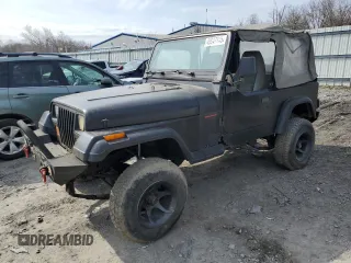 1995 Jeep Wrangler S with VIN 1J4FY19P1SP253471, listed as a Copart auction lot 49047845 with 217,537 mi miles and Clean Title. Bid and sale history available at carsss.com. Image 1.