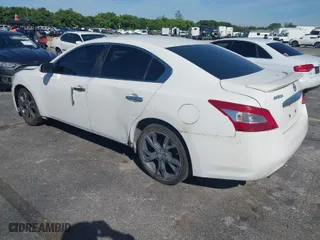 2009 Nissan Maxima 3.5 SV w/Premium Pkg with VIN 1N4AA51E59C803607, listed as a IAAI auction lot 41746575 with 219,367 mi miles. Bid and sale history available at carsss.com. Image 3.