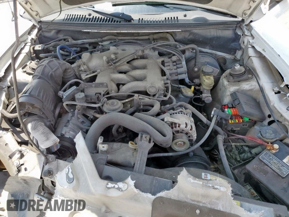 2004 Ford Mustang Standard with VIN 1FAFP40664F183429, listed as a Copart auction lot 60099525 with 162,981 mi miles and Salvage title. Bid and sale history available at DreamBid. Image 11.