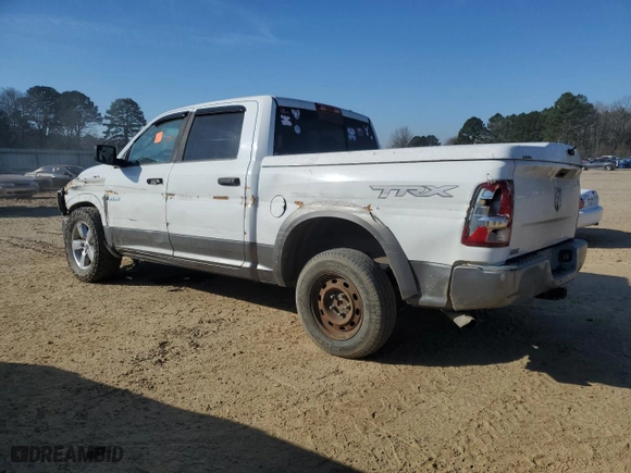 2010 Dodge Ram 1500 ST with VIN 1D7RB1CTXAS178717, listed as a Copart auction lot 45199405 with 298,140 mi miles and Salvage Title. Bid and sale history available at carsss.com. Image 2.