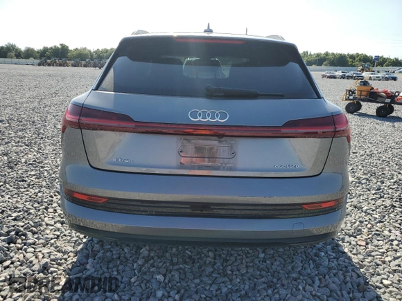 2022 Audi e-tron Premium Plus with VIN WA1LAAGE8NB002750, listed as a Copart auction lot 57163615 with 50,009 mi miles and Salvage title. Bid and sale history available at DreamBid. Image 6.