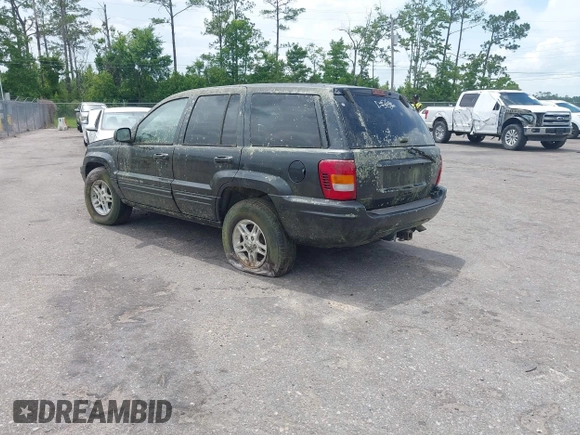 1999 Jeep Grand Cherokee Limited with VIN 1J4GW68N5XC702303, listed as a IAAI auction lot 42501995 with Not provided miles and . Bid and sale history available at DreamBid. Image 3.