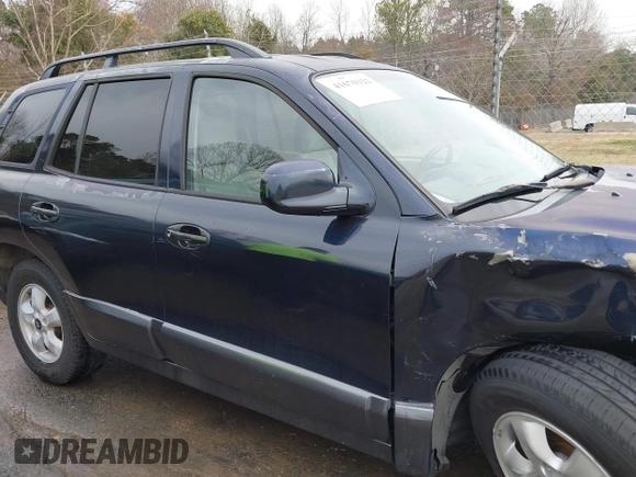 2005 Hyundai Santa Fe GLS with VIN KM8SC73D45U943575, listed as a IAAI auction lot 41676922 with 265,333 mi miles. Bid and sale history available at carsss.com. Image 13.