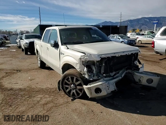 2009 Ford F-150 XL with VIN 1FTPW14V29KA73056, listed as a Copart auction lot 45048505 with 257,907 mi miles and Salvage Title. Bid and sale history available at carsss.com. Image 11.