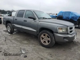 2010 Dodge Dakota Bighorn/Lonestar with VIN 1D7CW3GP5AS130822, listed as a Copart auction lot 42523155 with 103,081 mi miles and Salvage Title. Bid and sale history available at carsss.com. Image 4.