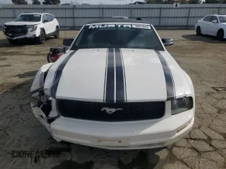 2005 Ford Mustang Deluxe with VIN 1ZVFT84N455250273, listed as a Copart auction lot 50923095 with Not Provided miles and Salvage Title. Bid and sale history available at carsss.com. Image 5.