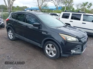 2014 Ford Escape SE z VIN 1FMCU0GX3EUC38084, wystawiony jako IAAI lot #38231507 z przebiegiem 157 955 mil mil oraz . Historia ofert i sprzedaży dostępna na DreamBid. Obrazek 1.