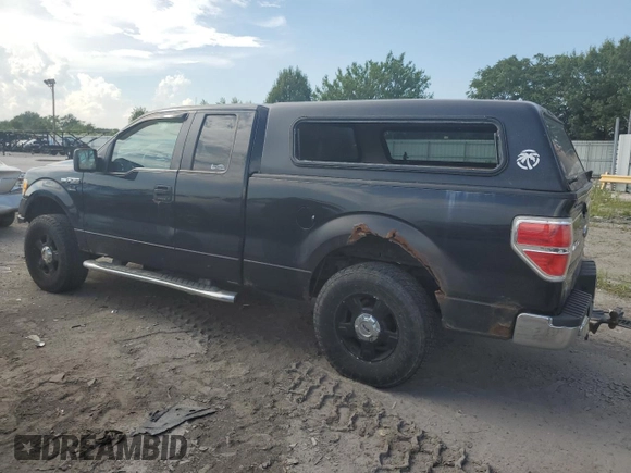 2010 Ford F-150 XL with VIN 1FTEX1C86AFD96491, listed as a Copart auction lot 62287115 with 283,496 mi miles and Clean title. Bid and sale history available at DreamBid. Image 2.
