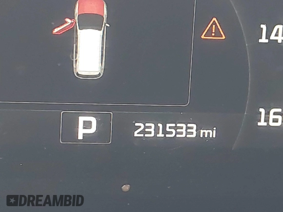 2017 Kia Sorento EX with VIN 5XYPH4A54HG307072, listed as a IAAI auction lot 42381045 with 231,533 mi miles and . Bid and sale history available at DreamBid. Image 15.
