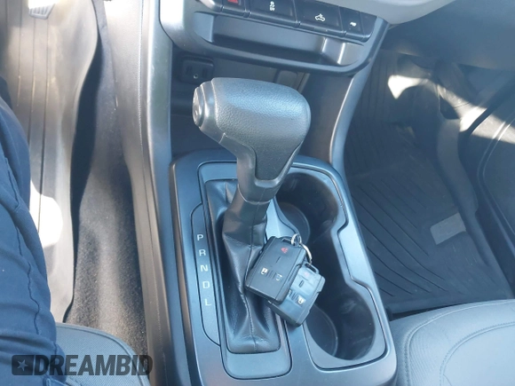 2019 Chevrolet Colorado 2WD Work Truck with VIN 1GCGSBEN0K1144041, listed as a IAAI auction lot 41668092 with 124,017 mi miles and . Bid and sale history available at DreamBid. Image 11.
