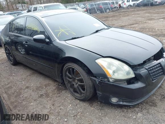2005 Nissan Maxima SL with VIN 1N4BA41E25C842647, listed as a IAAI auction lot 41851824 with Not provided miles and . Bid and sale history available at DreamBid. Image 1.